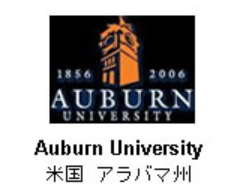 Screenshot 2024-10-25 120552 - Copy