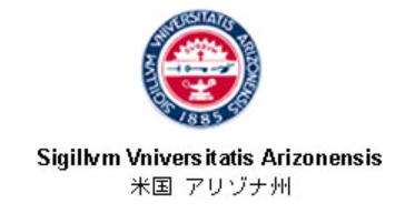 Screenshot 2024-10-25 120704 - Copy