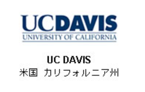 Screenshot 2024-10-25 120832 - Copy