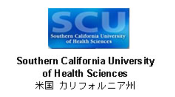 Screenshot 2024-10-25 120924 - Copy