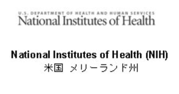 Screenshot 2024-10-25 121013