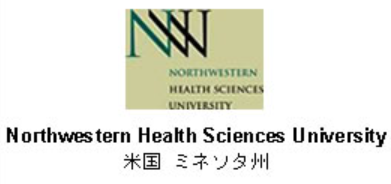 Screenshot 2024-10-25 121105