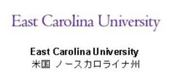 Screenshot 2024-10-25 121135