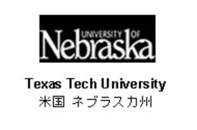 Screenshot 2024-10-25 121145